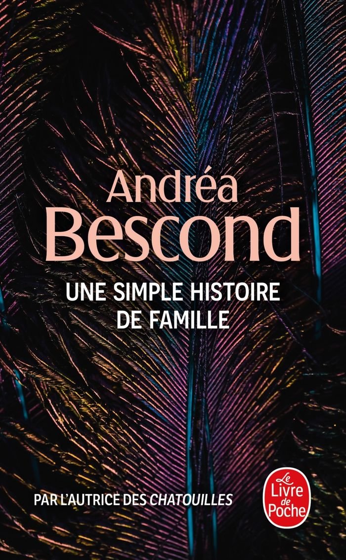 Couverture du livre « Une simple histoire de famille : roman », librairie Les Contes Infusés à Corte