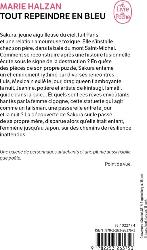 Quatrième de couverture de « TOUT REPEINDRE EN BLEU »