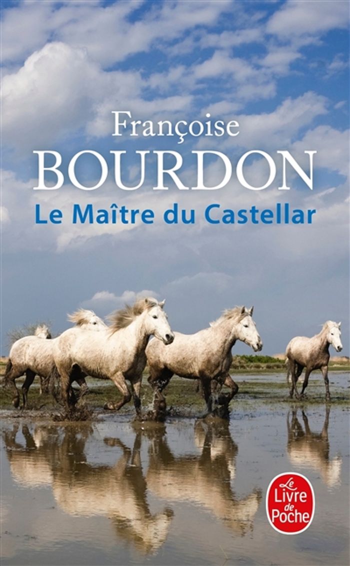 Couverture du livre « Le maître du Castellar : roman », librairie Les Contes Infusés à Corte