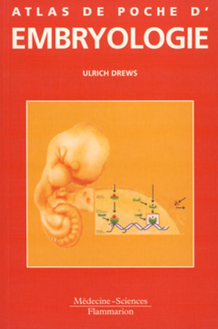 Couverture du livre « ATLAS DE POCHE D'EMBRYOLOGIE » de Ulrich Drews, librairie Les Contes Infusés à Corte