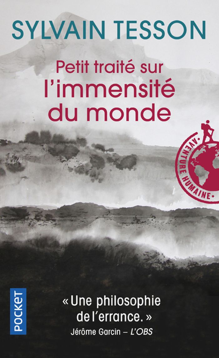 Couverture du livre « Petit traité sur l'immensité du monde » de Sylvain Tesson, librairie Les Contes Infusés à Corte