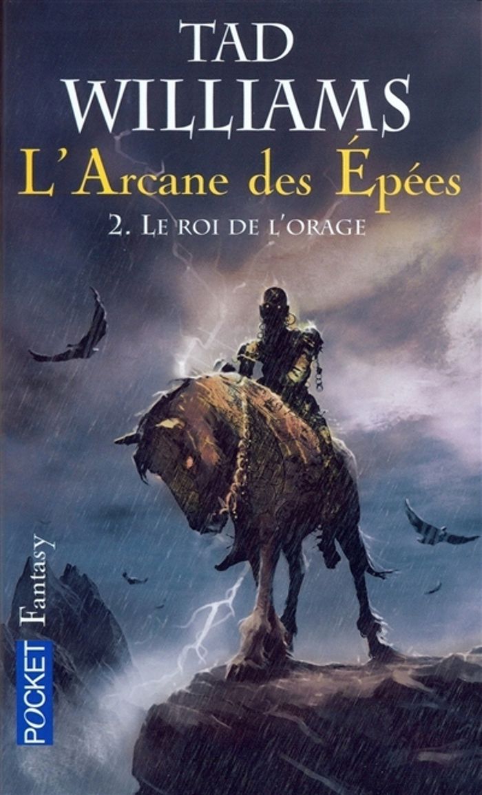 Couverture du livre « L'ARCANE DES EPEES - TOME 2 LE ROI DE L'ORAGE » de Tad Williams, librairie Les Contes Infusés à Corte