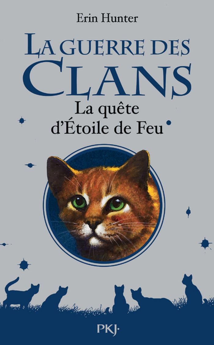 Couverture du livre « LA GUERRE DES CLANS - HORS-SERIE LA QUETE D'ETOILE DE FEU » de Erin Hunter, librairie Les Contes Infusés à Corte