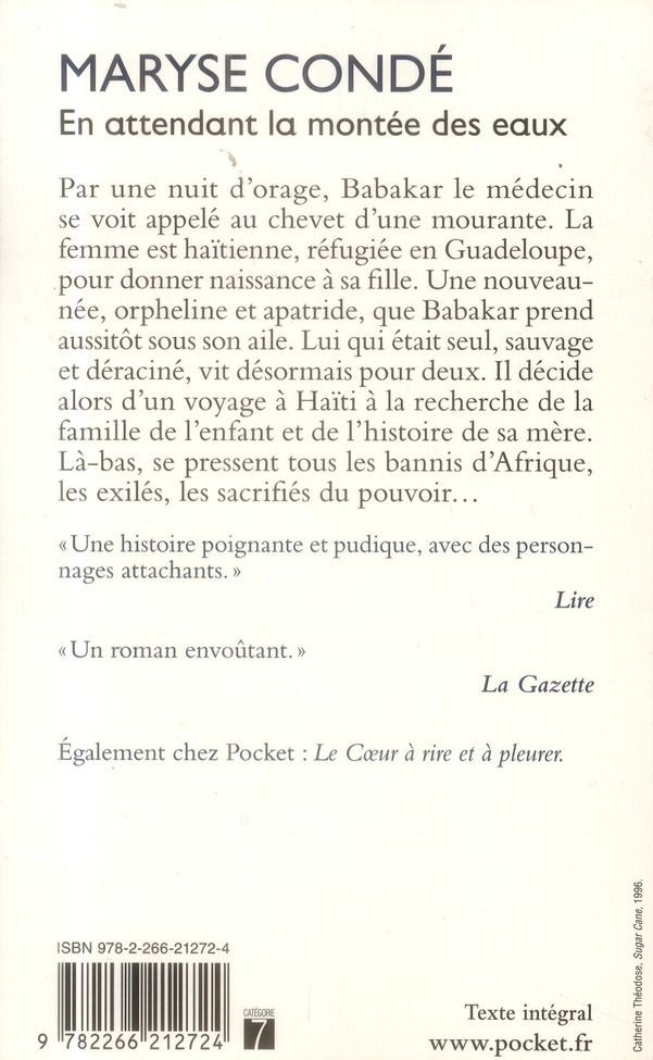 Quatrième de couverture de « En attendant la montée des eaux »
