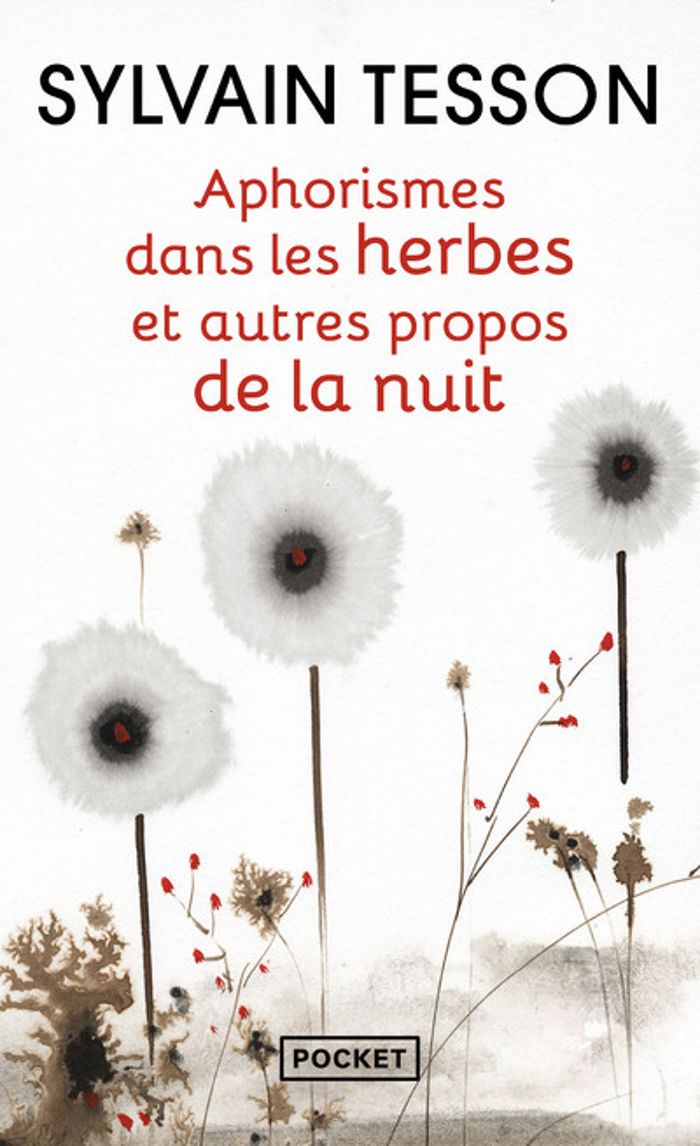 Couverture du livre « Aphorismes dans les herbes : et autres propos de la nuit » de Sylvain Tesson, librairie Les Contes Infusés à Corte