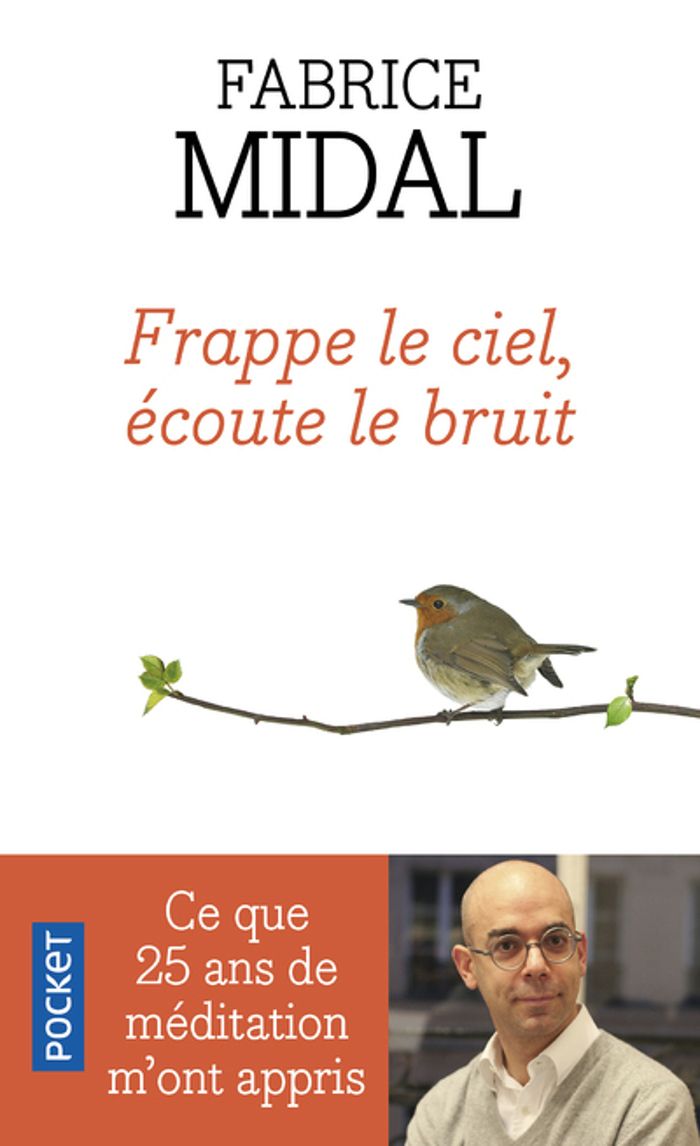 Couverture du livre « "Frappe le ciel, écoute le bruit" : ce que vingt-cinq ans de méditation m'ont appris » de Fabrice Midal, librairie Les Contes Infusés à Corte