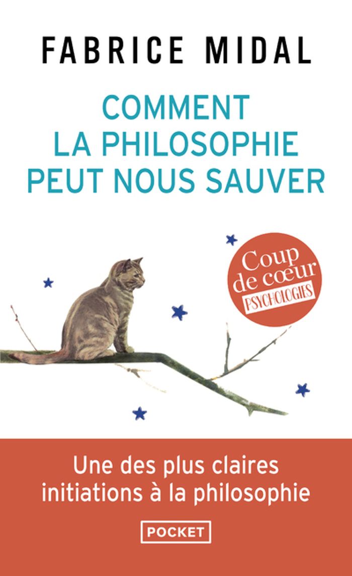 Couverture du livre « Comment la philosophie peut nous sauver : 22 méditations décisives » de Fabrice Midal, librairie Les Contes Infusés à Corte