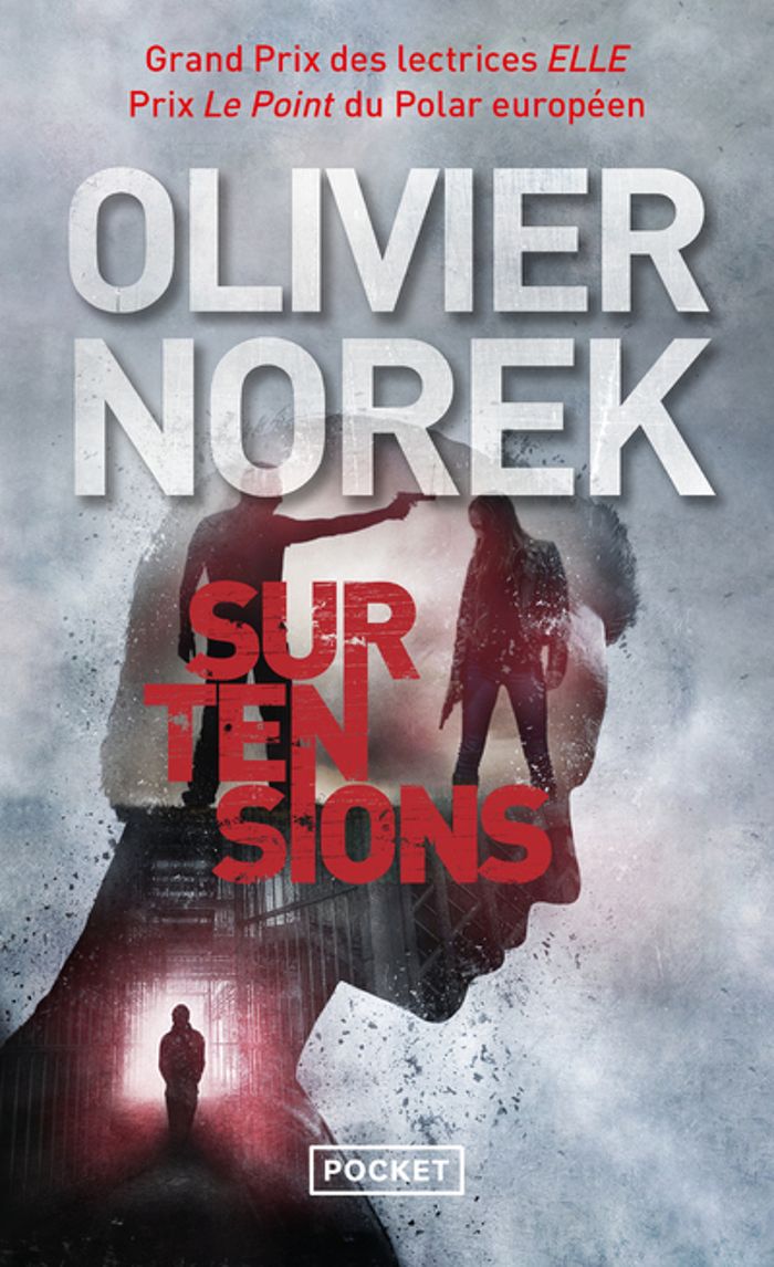Couverture du livre « Surtensions », librairie Les Contes Infusés à Corte