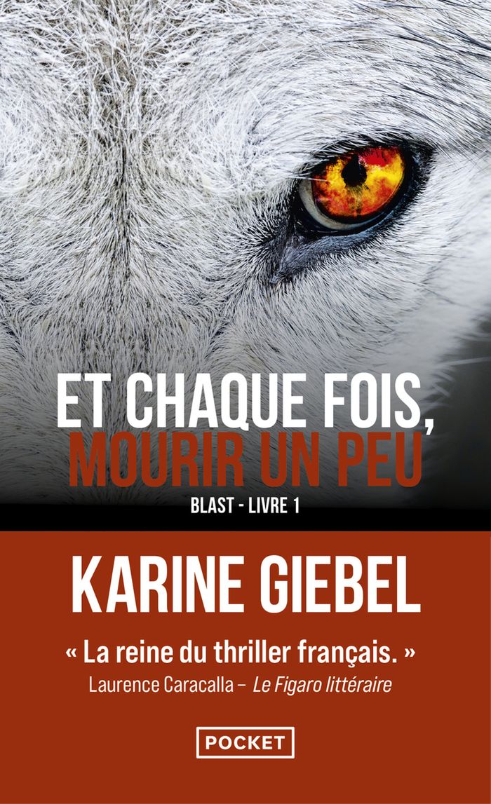 Couverture du livre « ET CHAQUE FOIS, MOURIR UN PEU - LIVRE 1 BLAST - VOL01 », librairie Les Contes Infusés à Corte
