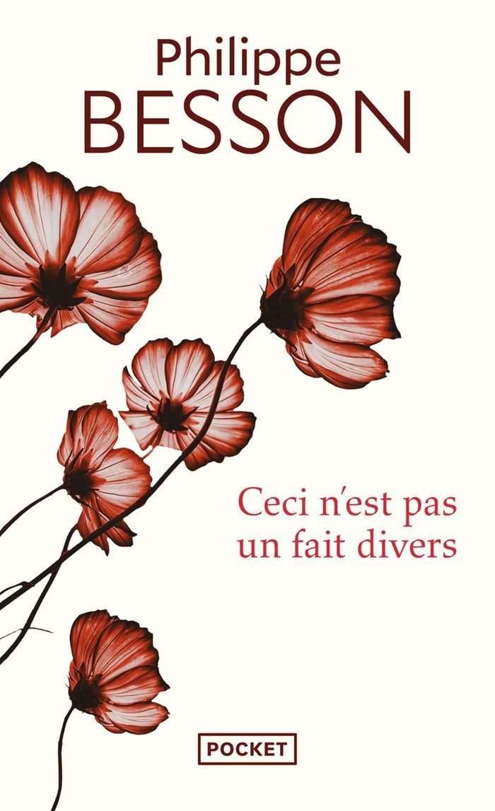 Couverture du livre « Ceci n'est pas un fait divers » de Philippe Besson, librairie Les Contes Infusés à Corte