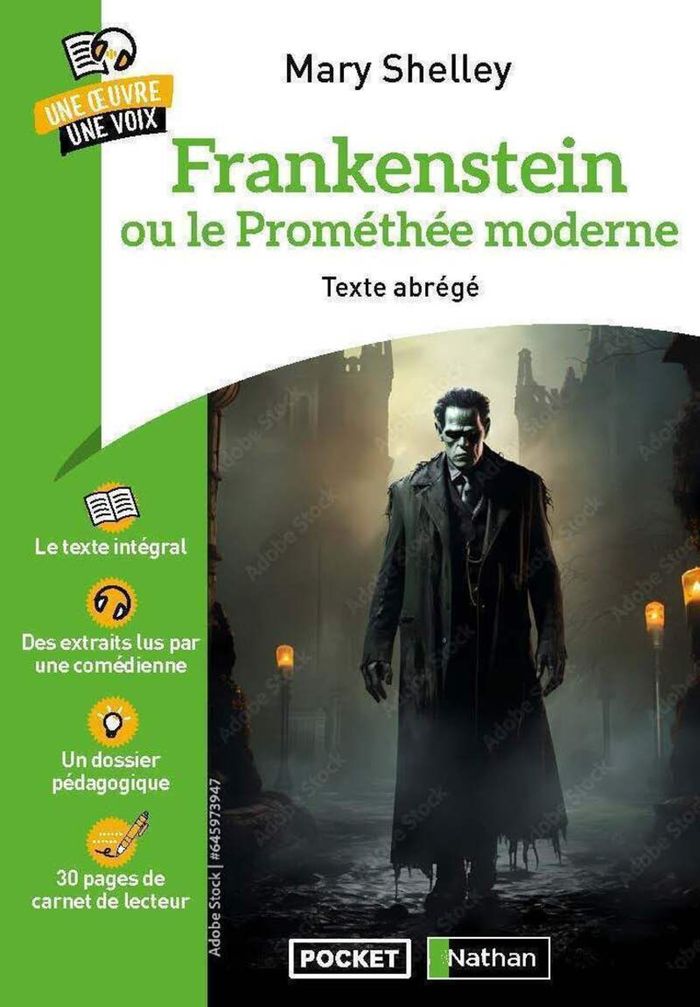Couverture du livre « Frankenstein ou Le Prométhée moderne » de Mary Wollstonecraft Shelley, librairie Les Contes Infusés à Corte