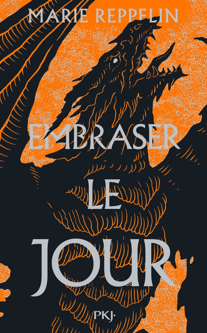 Couverture : AFFRONTER LA NUIT - TOME 2 EMBRASER LE JOUR - VOL02