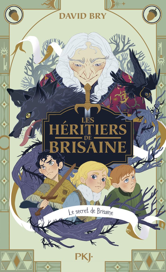 Couverture du livre « Le secret de Brisaine » de David Bry, librairie Les Contes Infusés à Corte