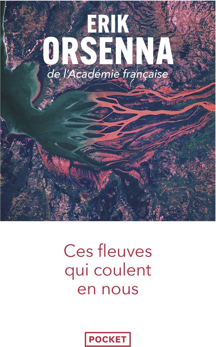 Couverture du livre « Ces fleuves qui coulent en nous » de Erik Orsenna, librairie Les Contes Infusés à Corte