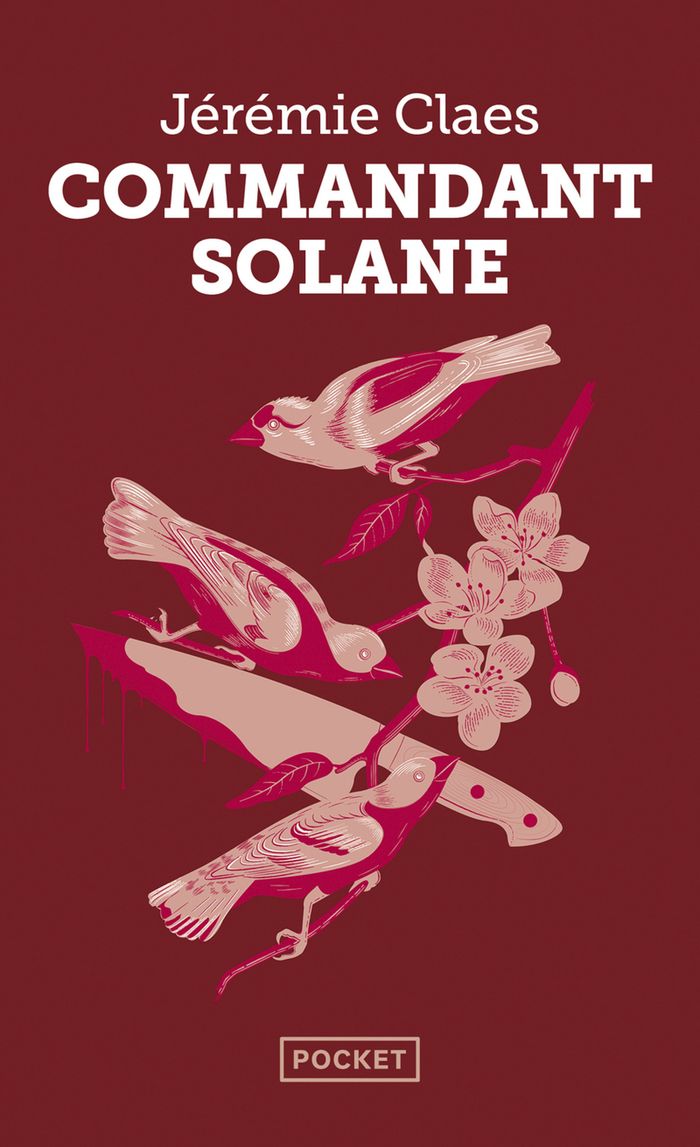 Couverture du livre « Commandant Solane », librairie Les Contes Infusés à Corte