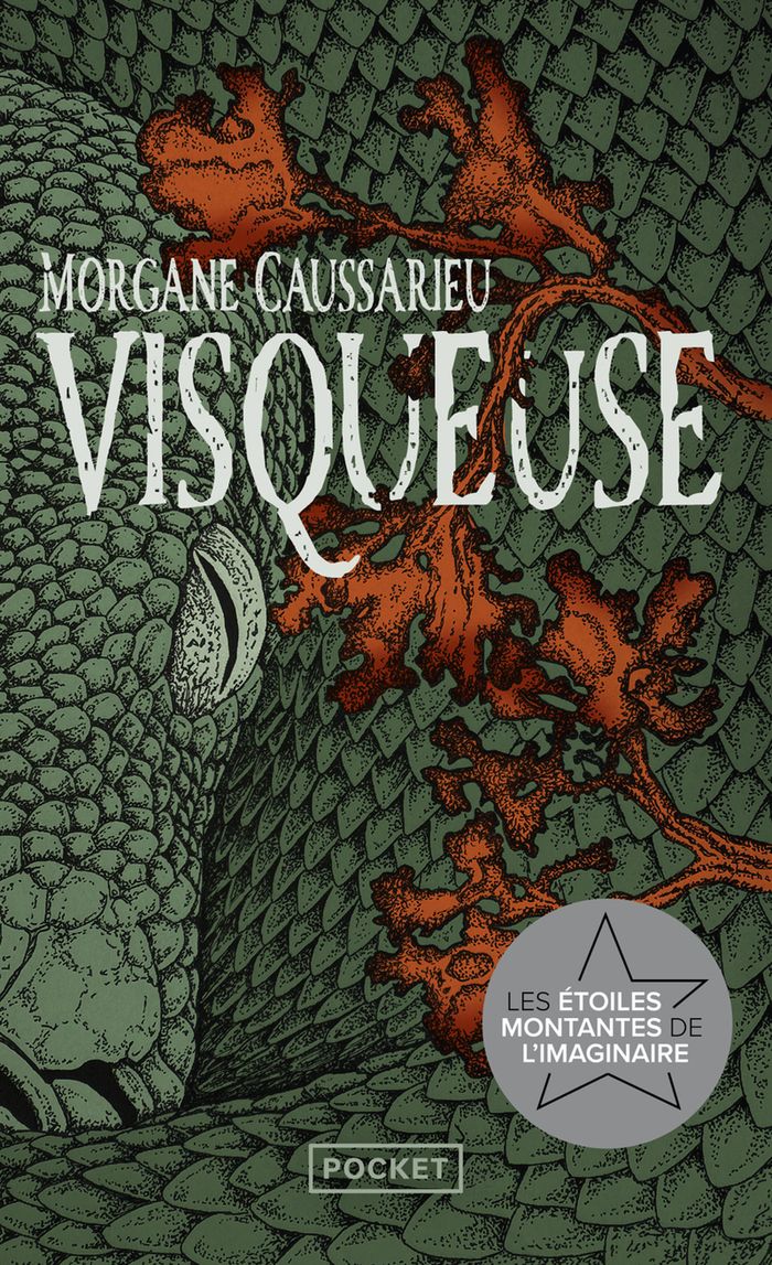 Couverture du livre « VISQUEUSE » de Morgane Caussarieu, librairie Les Contes Infusés à Corte