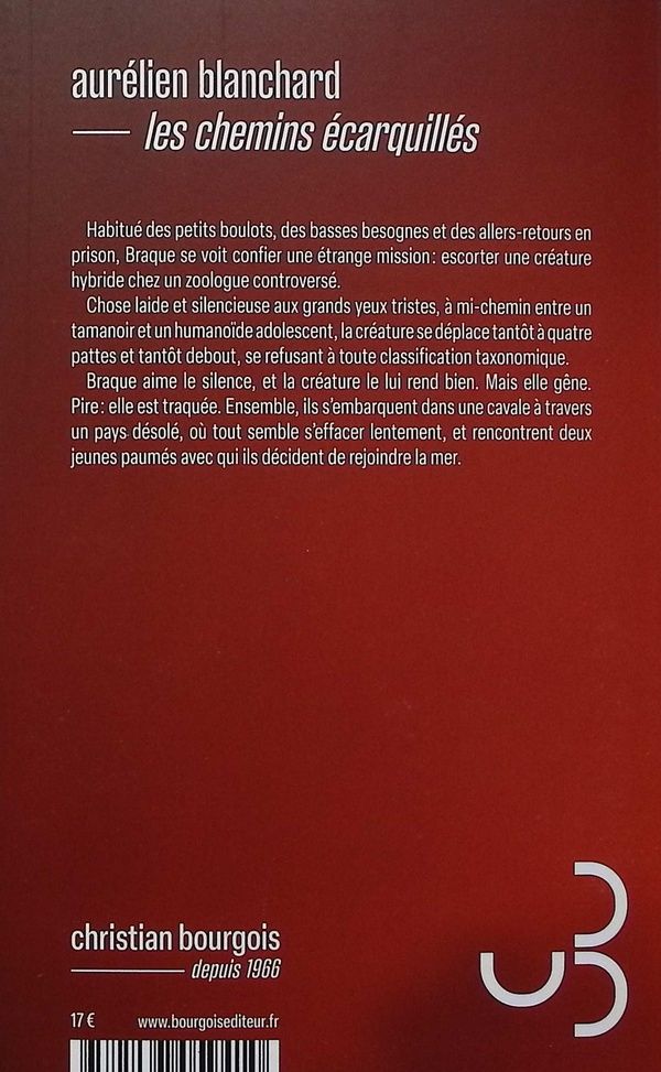 Quatrième de couverture de « Les Chemins écarquillés »