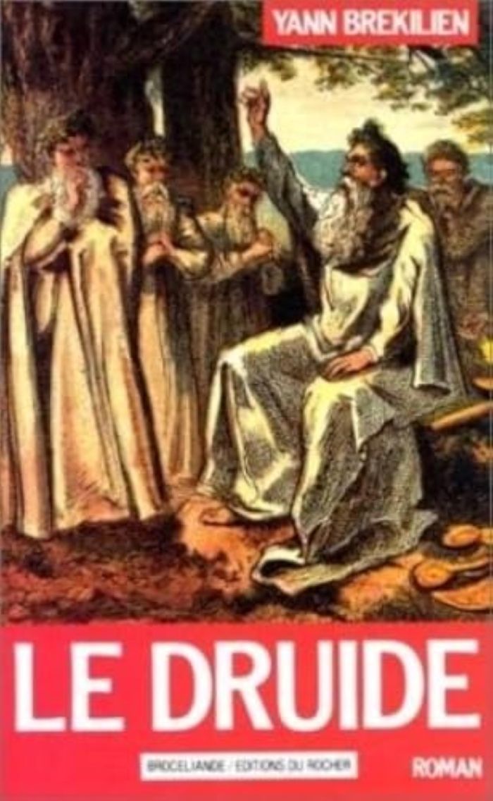 Couverture du livre « LE DRUIDE » de Yann Brekilien, librairie Les Contes Infusés à Corte