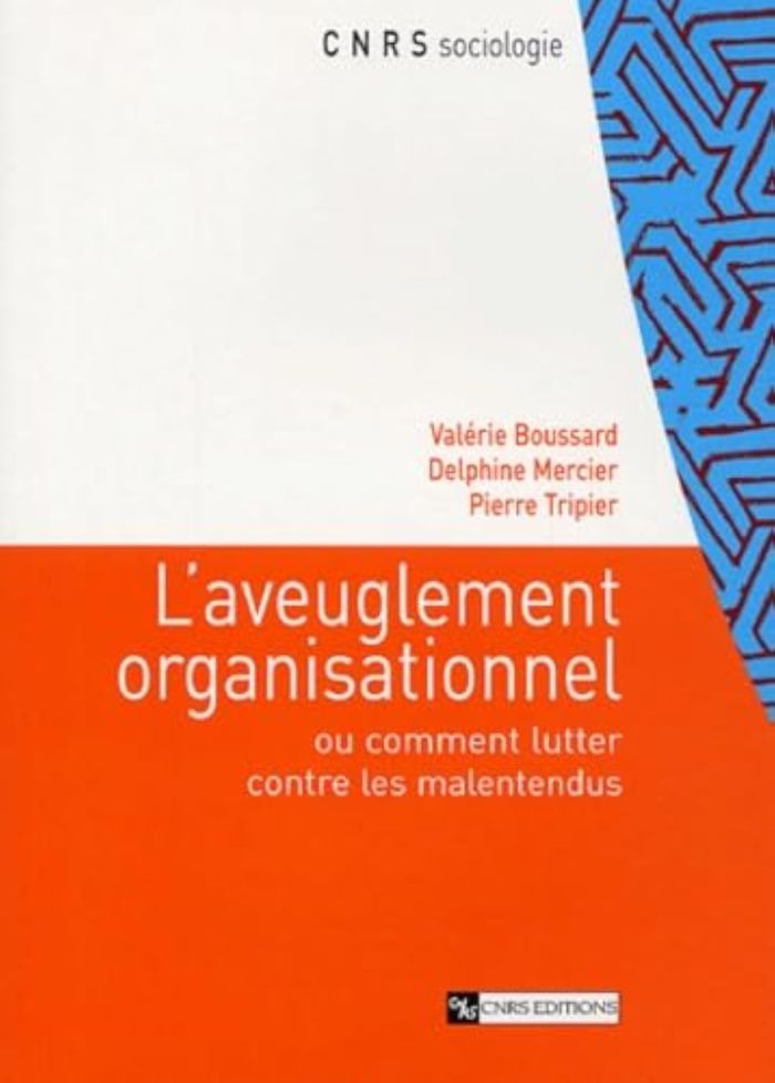 Couverture du livre « AVEUGLEMENT ORGANISATIONNEL. ANALYSES SOCIOLOGIQUES... » de Collectif, librairie Les Contes Infusés à Corte