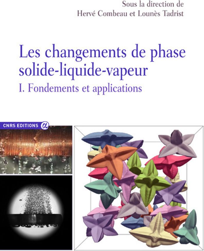 Couverture du livre « LES CHANGEMENTS DE PHASE SOLIDE-LIQUIDE-VAPEUR - TOME 1 FONDEMENTS ET APPLICATIONS » de Combeau/tadrist, librairie Les Contes Infusés à Corte