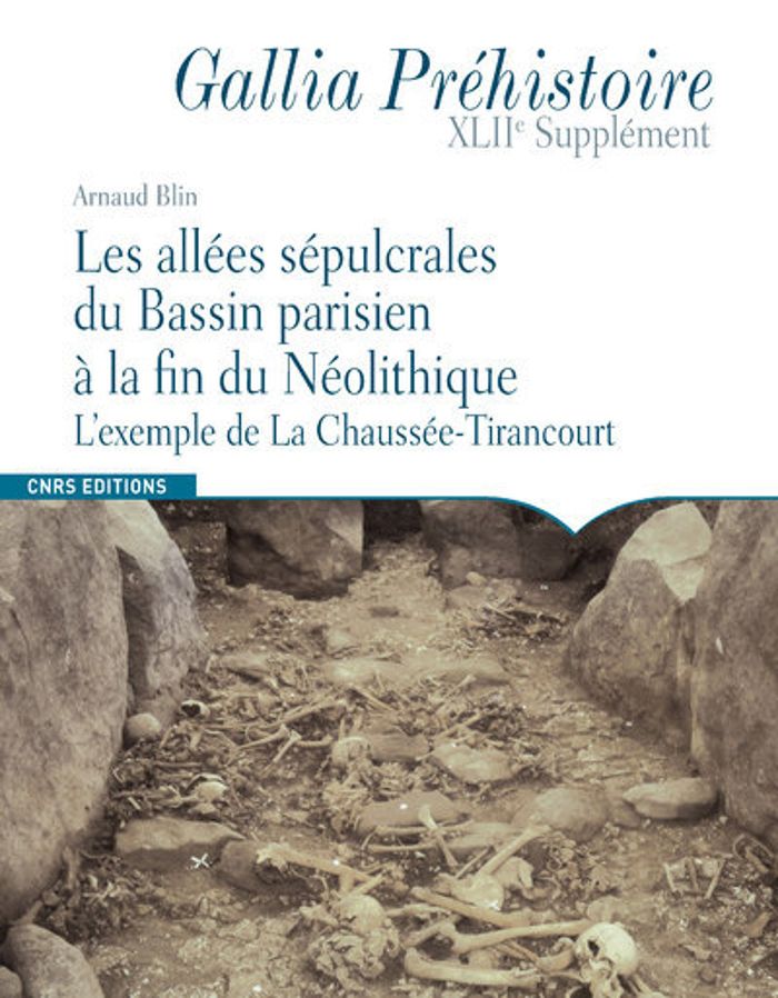 Couverture du livre « LES ALLEES SEPULCRALES DU BASSIN PARISIEN A LA FIN DU NEOLITHIQUE » de Arnaud Blin, librairie Les Contes Infusés à Corte