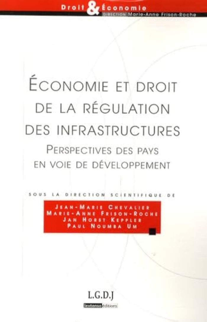 Couverture du livre « ECONOMIE ET DROIT DE LA REGULATION DES INFRASTRUCTURES - PERSPECTIVES DES PAYS EN VOIE DE DEVELOPPEM » de Collectif, librairie Les Contes Infusés à Corte