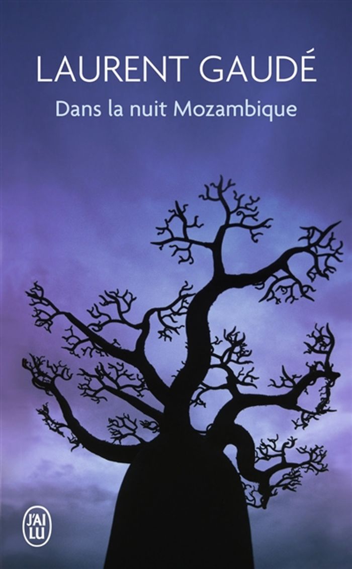 Couverture du livre « Dans la nuit du Mozambique : et autres récits » de Laurent Gaudé, librairie Les Contes Infusés à Corte