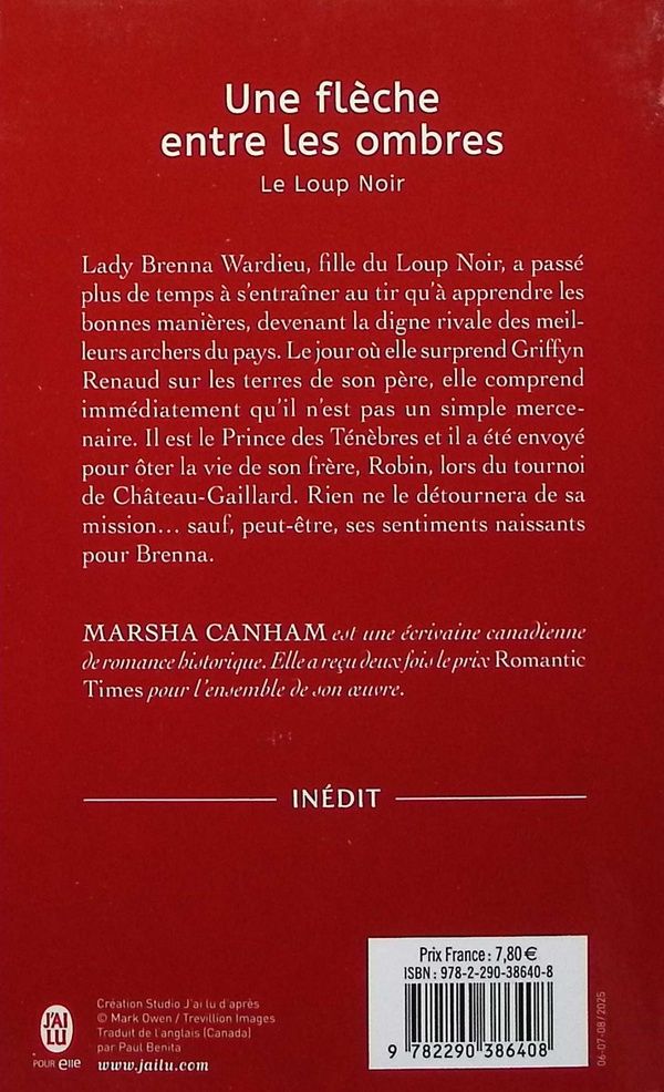 Quatrième de couverture de « Une flèche entre les ombres »