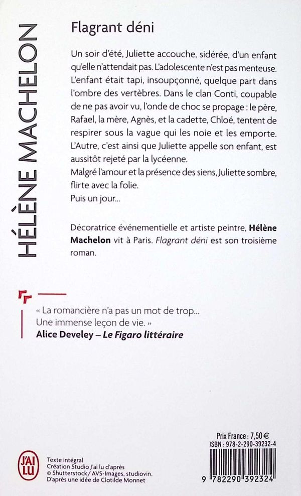 Quatrième de couverture de « Flagrant déni : roman »