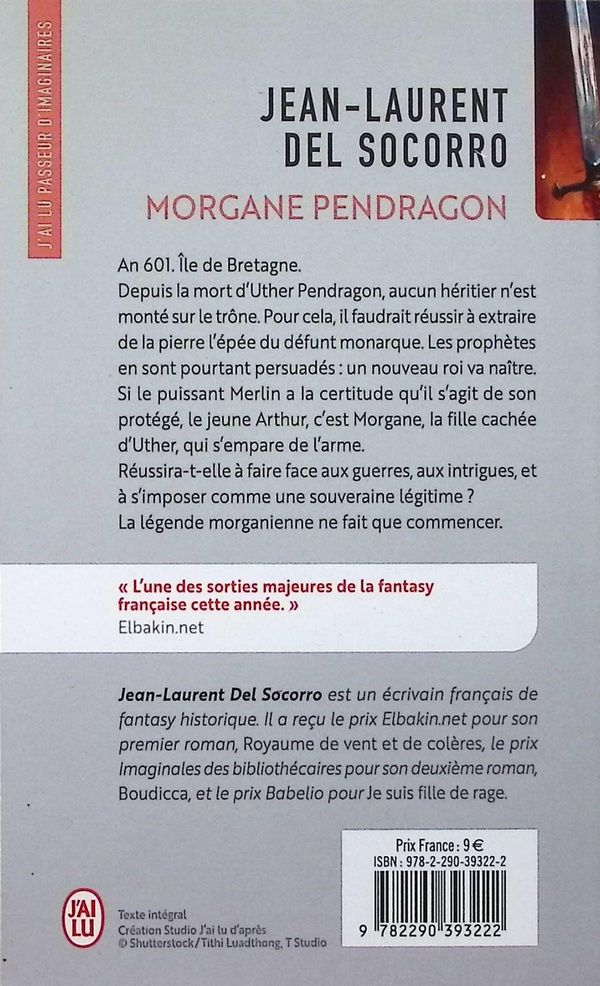 Quatrième de couverture de « Morgane Pendragon : roman »