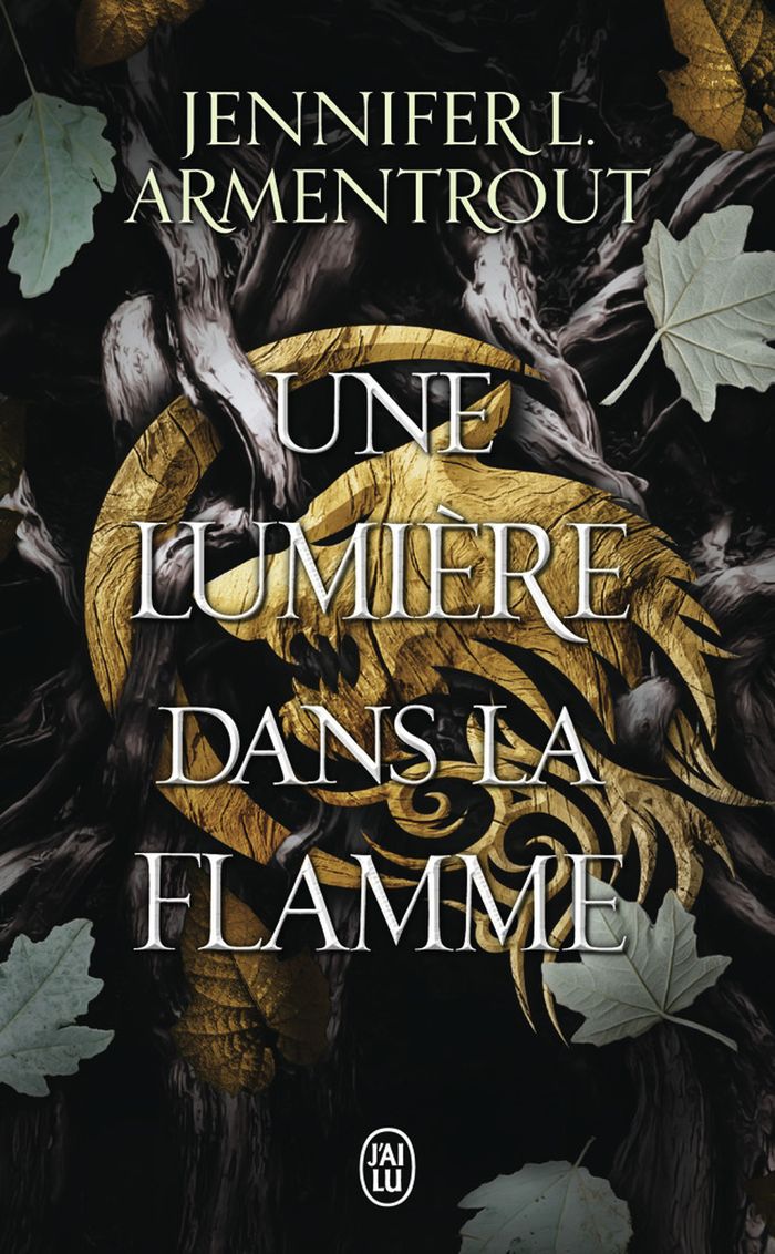 Couverture du livre « LA CHAIR ET LE FEU - VOL02 - UNE LUMIERE DANS LA FLAMME », librairie Les Contes Infusés à Corte