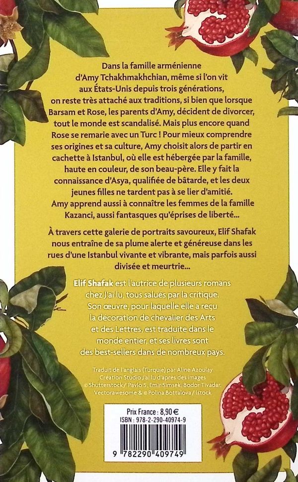 Quatrième de couverture de « LA BATARDE D'ISTANBUL »