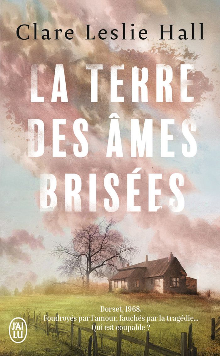 Couverture du livre « LA TERRE DES AMES BRISEES » de Hall Clare Leslie, librairie Les Contes Infusés à Corte