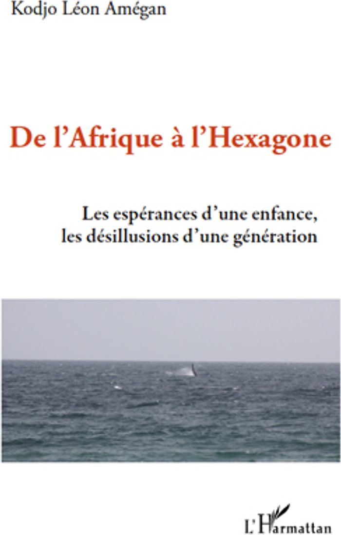 Couverture du livre « DE L'AFRIQUE A L'HEXAGONE - LES ESPERANCES D'UNE ENFANCE, LES DESILLUSIONS D'UNE GENERATION » de Amegan Kodjo Leon, librairie Les Contes Infusés à Corte