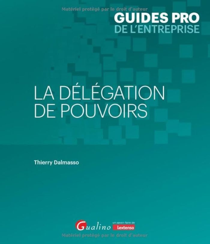 Couverture du livre « LA DELEGATION DE POUVOIRS » de Thierry Dalmasso, librairie Les Contes Infusés à Corte