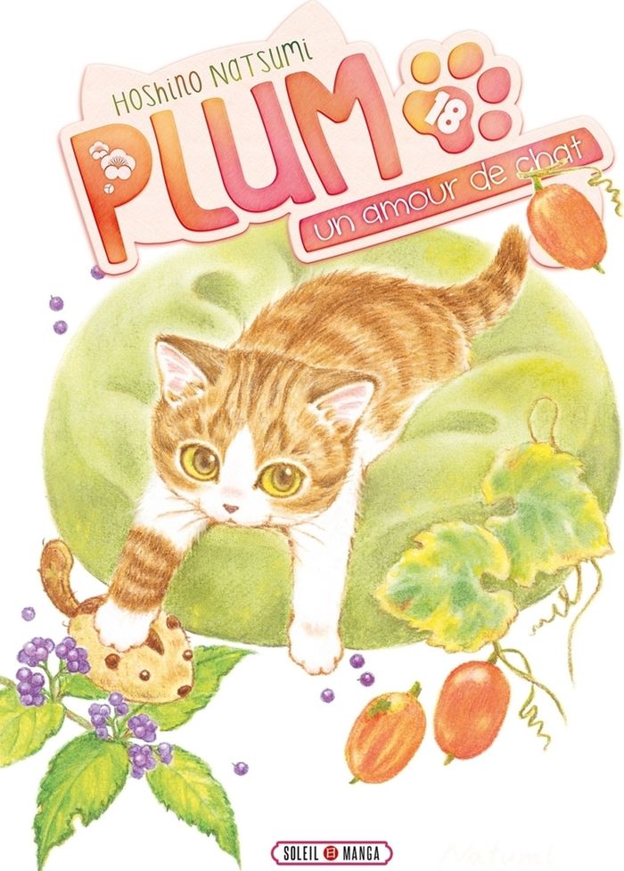 Couverture du livre « PLUM, UN AMOUR DE CHAT T18 - VOL18 » de Natsumi Hoshino, librairie Les Contes Infusés à Corte