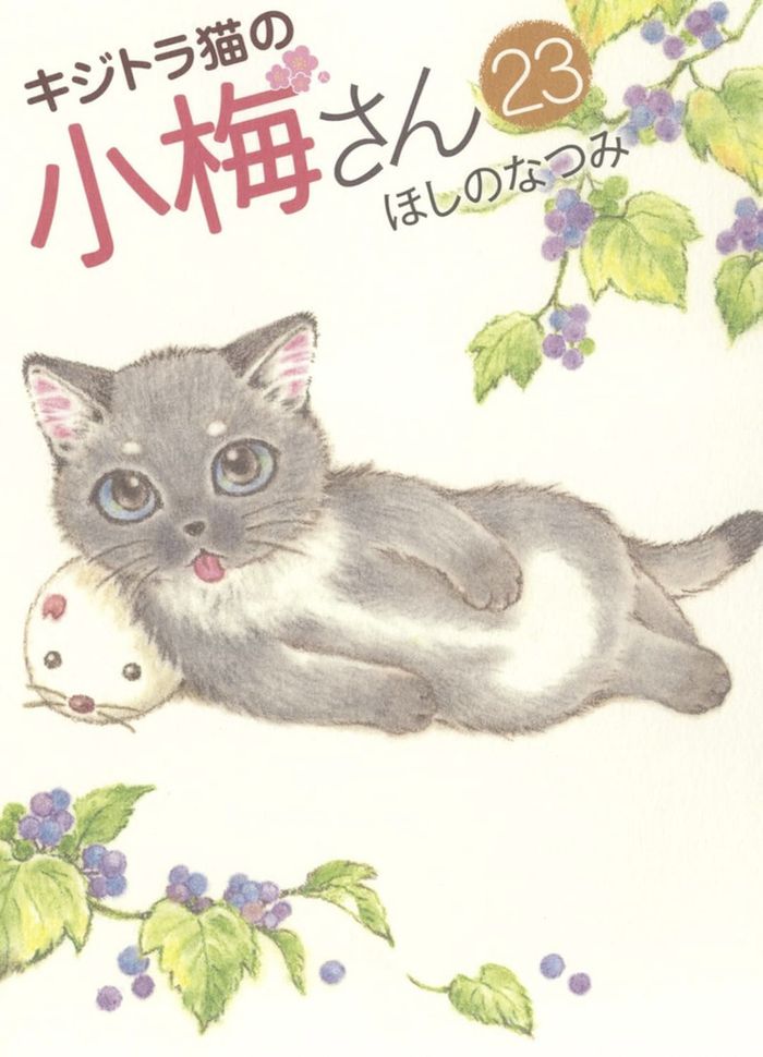 Couverture du livre « PLUM, UN AMOUR DE CHAT T23 », librairie Les Contes Infusés à Corte