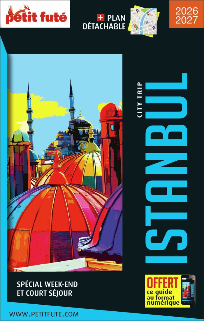Couverture du livre « Istanbul » de Dominique Auzias, librairie Les Contes Infusés à Corte