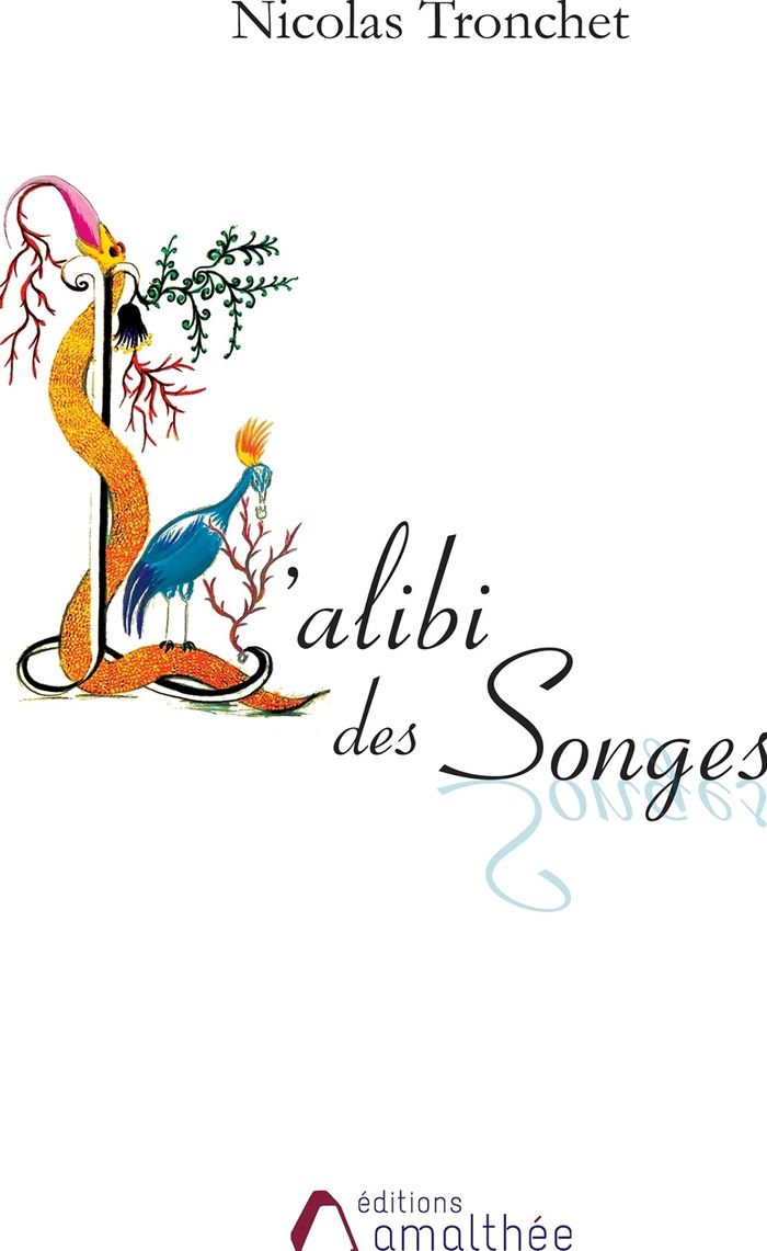 Couverture du livre « L'ALIBI DES SONGES » de Nicolas Tronchet, librairie Les Contes Infusés à Corte
