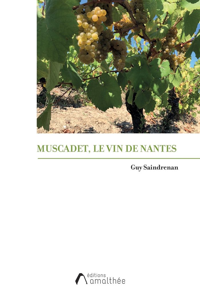 Couverture du livre « Muscadet, le vin de Nantes » de Guy Saindrenan, librairie Les Contes Infusés à Corte