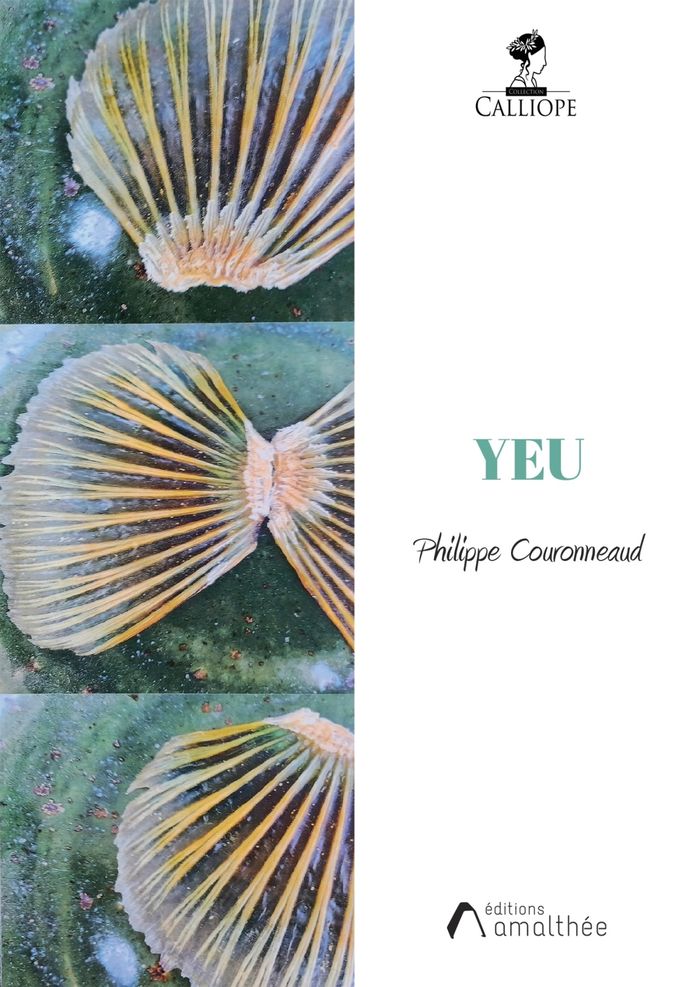 Couverture du livre « Yeu », librairie Les Contes Infusés à Corte