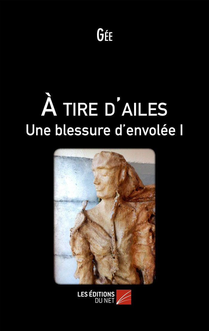 Couverture du livre « A TIRE D'AILES, UNE BLESSURE D'ENVOLEE I » de Gee, librairie Les Contes Infusés à Corte