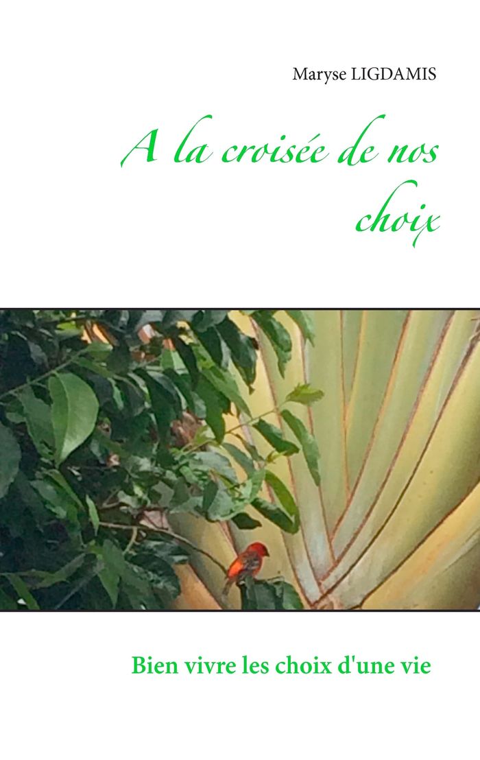 Couverture du livre « A LA CROISEE DE NOS CHOIX - BIEN VIVRE LES CHOIX D'UNE VIE » de Maryse Ligdamis, librairie Les Contes Infusés à Corte