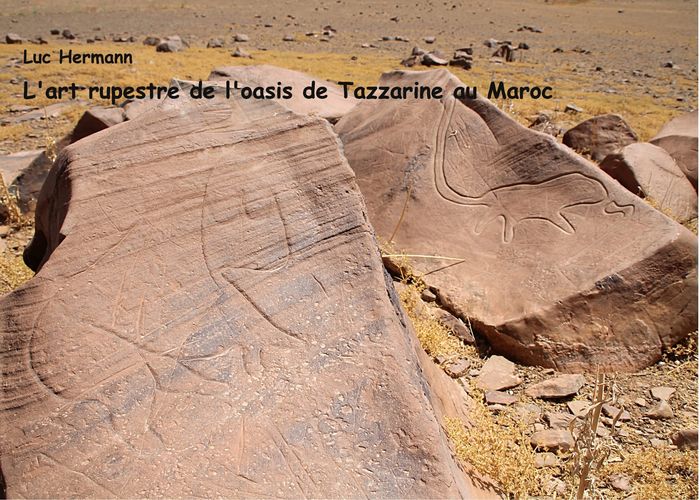 Couverture du livre « L'ART RUPESTRE DE L'OASIS DE TAZZARINE AU MAROC - ILLUSTRATIONS, COULEUR » de Luc Hermann, librairie Les Contes Infusés à Corte