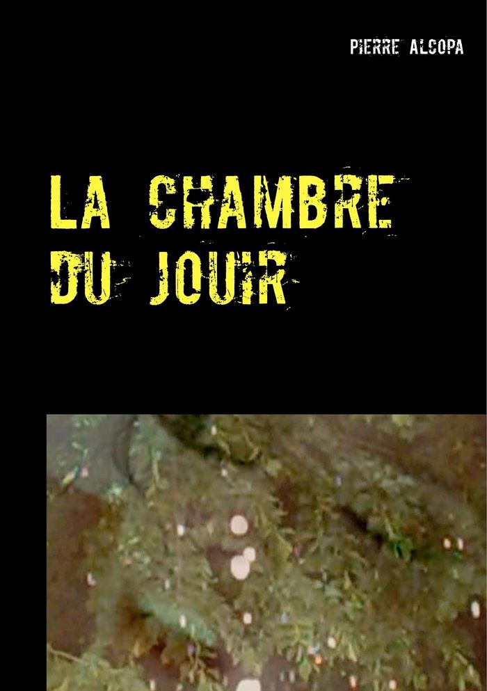 Couverture du livre « LA CHAMBRE DU JOUIR » de Pierre Alcopa, librairie Les Contes Infusés à Corte