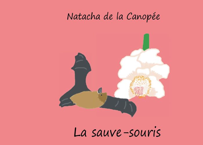 Couverture du livre « LA SAUVE-SOURIS - ILLUSTRATIONS, COULEUR » de De La Canopee N., librairie Les Contes Infusés à Corte