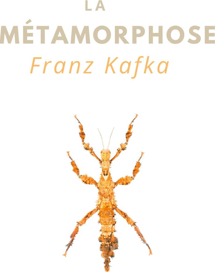 Couverture du livre « La métamorphose » de Franz Kafka, librairie Les Contes Infusés à Corte