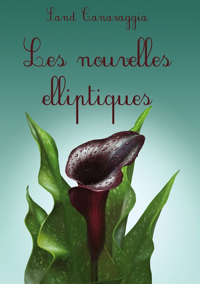 Couverture du livre « LES NOUVELLES ELLIPTIQUES » de Sand Canavaggia, librairie Les Contes Infusés à Corte