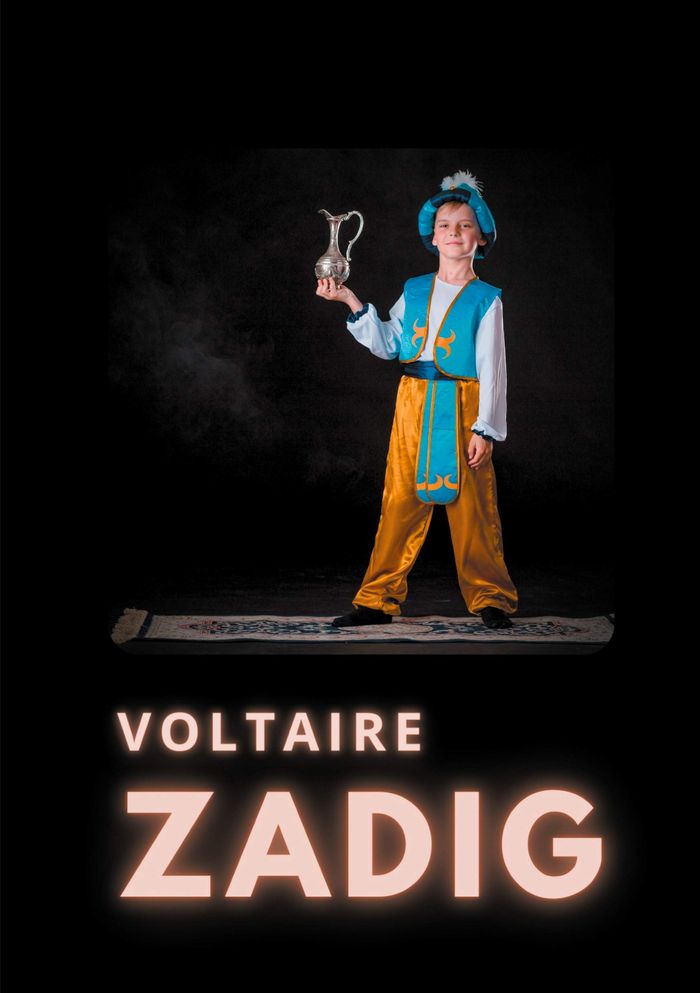 Couverture du livre « ZADIG - OU LA DESTINEE », librairie Les Contes Infusés à Corte