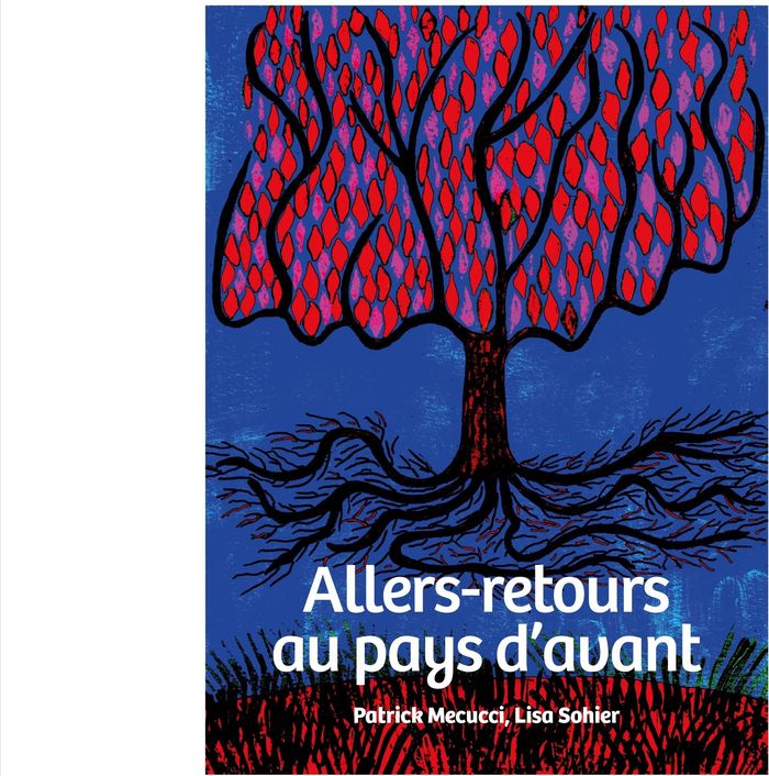 Couverture du livre « ALLERS-RETOURS AU PAYS D'AVANT - ILLUSTRATIONS, COULEUR », librairie Les Contes Infusés à Corte